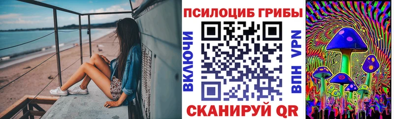 блэк спрут как войти  Облучье  Псилоцибиновые грибы мухоморы 