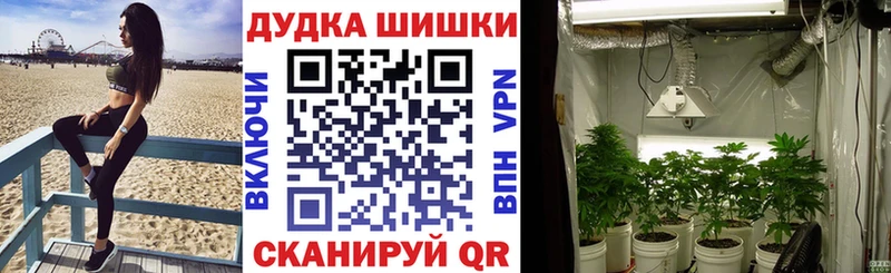 Бошки Шишки VHQ Облучье